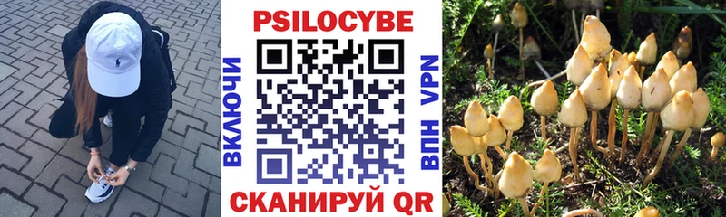 Псилоцибиновые грибы Psilocybine cubensis Магнитогорск