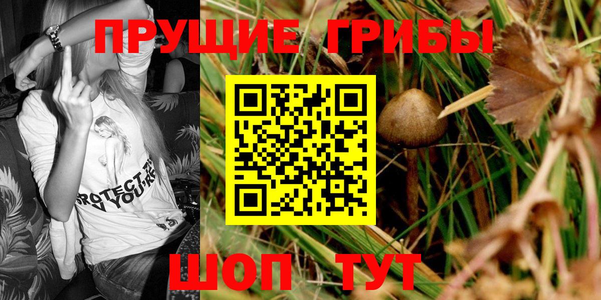 Псилоцибиновые грибы Magic Shrooms  Вход с VPN  наркотики  Магнитогорск 